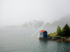 Harry's Harbour